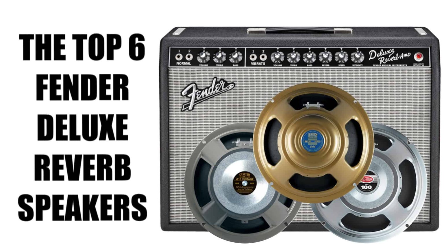 The 6 Best Speakers for a Fender '65 Deluxe Reverb Amplifier Explained!